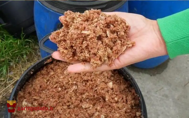 استفاده از ضایعات سیب زمینی تولید شده در کارخانه ها برای خوراک دام