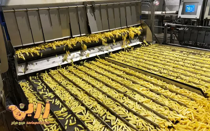 تولید کننده سیب زمینی نیمه سرخ شده خلالی ترد منجمد